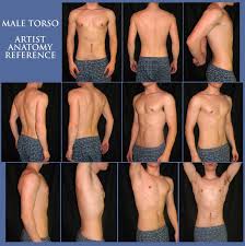 Human anatomy drawing human figure drawing body drawing life drawing drawing faces drawing art drawing tips drawing ideas anatomy reference. Artistic Anatomy Male Torso Anatomy Man Anatomy Anatomy Reference