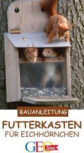 Eichhornchen Futterkasten Bauplan Anleitung Eichhornchen Tierhauser Bauplan