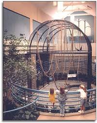 Enclosure Props Inside Each Cage Such As Ropes Tyres Tree Stumps Etc Zoo The Mitten State Places