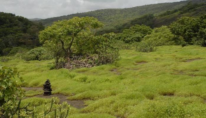 Sanjay Gandhi National Park - Great Runs