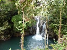 What are the ingredients in align probiotic? Bilder Aling Aling Wasserfall In Lovina Holidaycheck Seite 1