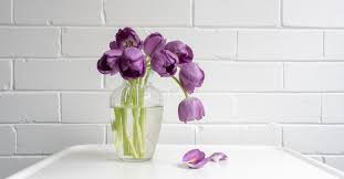 If a person wishes to send cut flowers to some one, then companies such as interflora using the cloud system can sync a phone contacts with an online address book. What To Send To A Funeral Instead Of Flowers Whats Your Grief