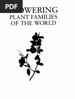 Image result for Ancistrorhynchus ovatus