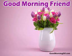 Kohteella good morning friends flowers on 33 715 jäsentä. Good Morning Images With Flowers Good Morning Wishes