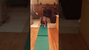 Pin On Kids Yoga Games