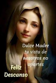 CONSAGRACIÓN AL SAGRADO CORAZÓN DE JESÚS. Oh Corazón de Jesús! Yo quiero  consagrarme a ti con todo el fervor de mi espíritu. Sobre el ara del altar  en que te inmolas por