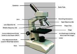 Pin On Science For Secondary Grades Biology Chemistry Physics And More