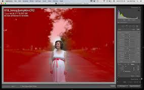How to unblur a picture? How To Blur Background In Lightroom 3 Different Methods Pretty Presets For Lightroom