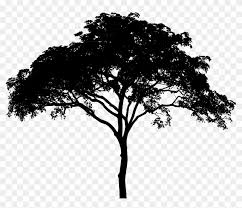 Oak computer icons silhouette plane, transparent pine tree ponderosa pine tree. Savannah Big Image Png Transparent Tree Silhouette Clipart 49012 Pikpng