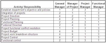 Project Management Matrix Responsibility Chart Linear