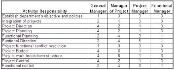 project management matrix responsibility chart linear