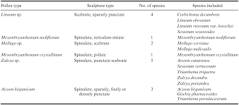 Image result for Trianthema salsoloides
