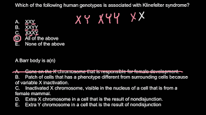 Klinefelter Syndrome And Barr Body Explaned Youtube