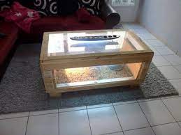 • tu récupères la position de la première tortue par. 17 Idees De Terrarium Tortue Terrarium Tortue Tortue Terrarium