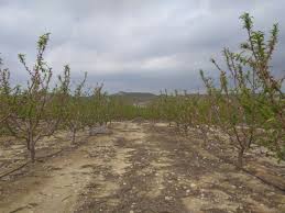 Wie zum beispiel im archipel jardines del rey, der sich entlang eines korallenriffs gebildet hat. Almeria Spanien