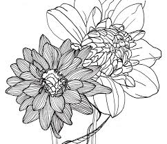 Flower photoshop brushes are simple instruments that help make photos and designs more beautiful, bright and unusual. Drawing Line Drawing Flowers Free