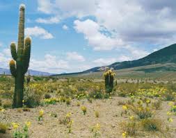 Image result for साबुन से धोया हमने गधों को हजार बार,