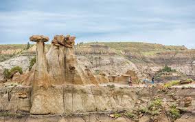 Image result for Struthiola montana