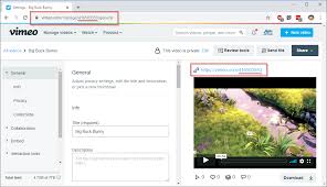 Vimeo Details Agile Ticketing Solutions