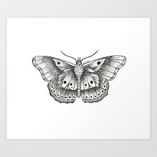Download Drawing Harry Styles Butterfly Tattoos Novocom Top