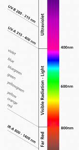 Check spelling or type a new query. How Do Led Grow Lights Work Valoya Led Grow Lights