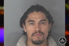Eduardo Gonzalez-Bustos — Douglas County Jail Bookings