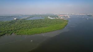 วันสิ่งแวดล้อมโลก world environment day ปี 2021 / 2564 ตรงกับวันไหนมาดูกัน เป็น. 5 7zfn 73j4wpm