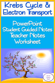 Krebs Cycle Electron Transport Powerpoint Student Guided Notes Worksheet Student Guide Guided Notes Teacher Notes