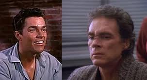 Almost the entire cast Did you watch the show?