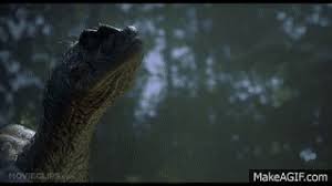 This article covers the velociraptor as it in the films. Jurassic Park 3 Raptor Eggs