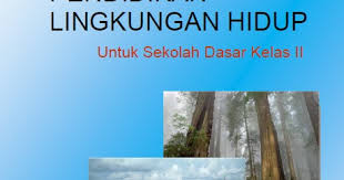 Contoh soal plh kelas 3 sd semester 2 dan kunci jawaban revisi. Materi Pelajaran Pendidikan Lingkungan Hidup Plh Kelas 2 Sd Mi Semester I Dan Ii Dadang Jsn