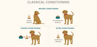 Classical Conditioning Quiz Trivia Questions Proprofs Quiz