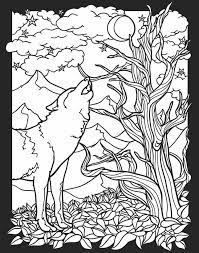 Nocturnal animals of the forest. Pin On Color My World