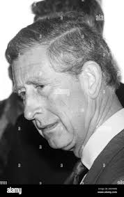 Young prince william Black and White Stock Photos & Images