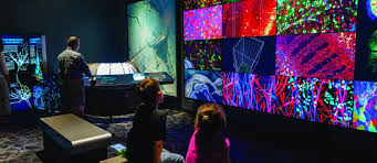 Your Brain The Franklin Institute Your Brain Brain Exhibition
