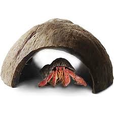 Hermit Crab Accessories