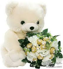 دبدوب يا دوب يعمل حركات صور جميله و معبره White Teddy Bear Monkey Stuffed Animal Teddy Bear