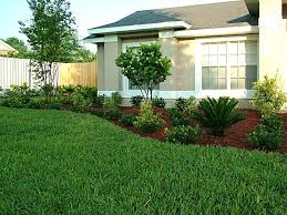 Sod Is In Sample Before After Comparison Backyard Landscaping Landscape Professional Landscaping