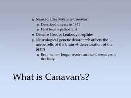 Canavan S Disease By Carissa D Agostino Ppt Download