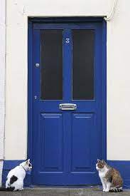 Kilkenny Cats Kilkenny Cats Beautiful Doors
