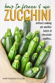 How To Cope When You Have Too Much Zucchini Shifting Roots Zucchini Shredded Zucchini Recipes Freezing Zucchini