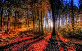 Choose from hundreds of free live wallpapers. Nature 3d Wallpaper Desktop Wallpaper Free Download Flickr