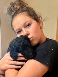 Puppies and their owners are beautiful