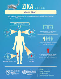 Pin On A P Immunology