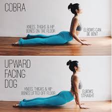 Pin On Yoga
