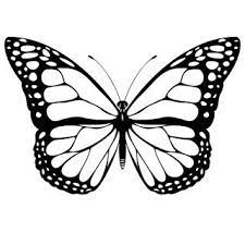 Como Hacer Un Centro De Mesa Con Mariposas Dibujos De Mariposas Mariposas Para Colorear Como Dibujar Mariposas
