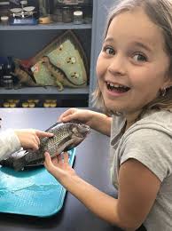 An investment in knowledge pays the best interest.”