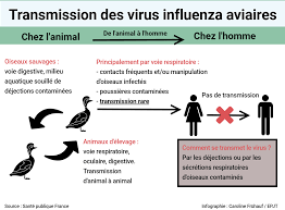 En raison de l'évolution européenne de l'influenza aviaire hautement pathogène, la france élève le niveau de risque et renforce la mise. Julien Denormandie L Influenza Aviaire C Est Une Grippe De La Volaille Il N Y Aucun Risque De Transmission Par Voie Alimentaire Factoscope 2017 2022