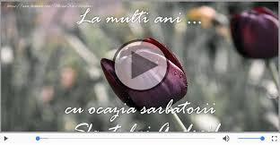 Pin On Felicitari