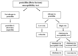 Image result for Group B Streptococcus Prophylaxis